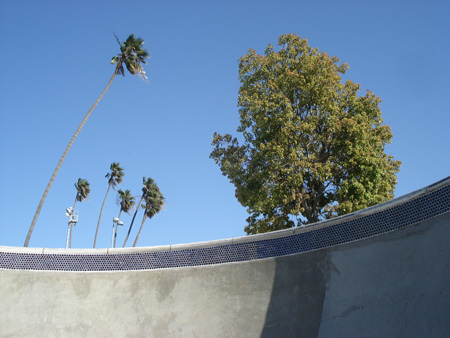 DSC08174.jpg