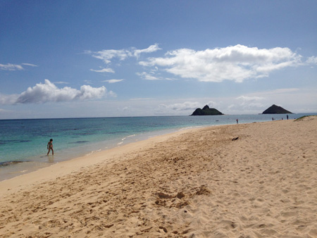 IMG_6737hawaii2013.jpg