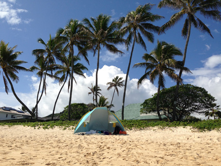 IMG_6741hawaii2013.jpg