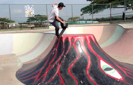 skate01hawaii2013.jpg